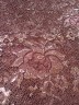 Гипюр Античная роза Antique Lace АLF/ Shocolate