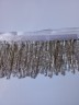 Бахрома стеклярус серебро 6,5см